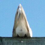 Profile Picture of Tim Waite (@timw8) on Instagram