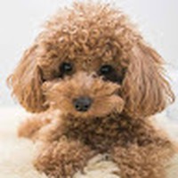 Profile Picture of Cathy Yip (@cathy-yip-8) on Quora