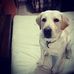 Profile Picture of Scott Blasco (@scott.blasco.10) on Facebook