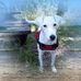 Profile Picture of Guy Heinrich (@Guy-Heinrich) on Facebook