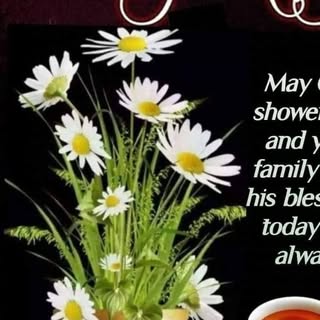 Profile Picture of Mervyn singh (@singh_mervyn) on Instagram