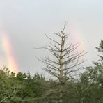 Profile Picture of Byron Schnell (@byron.schnell.3) on Facebook