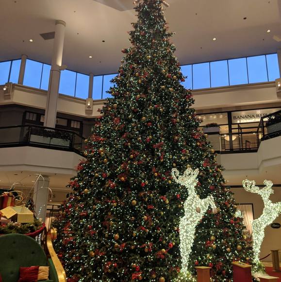 Profile Picture of Amy Higgins (@amyhiggins474) on Poshmark