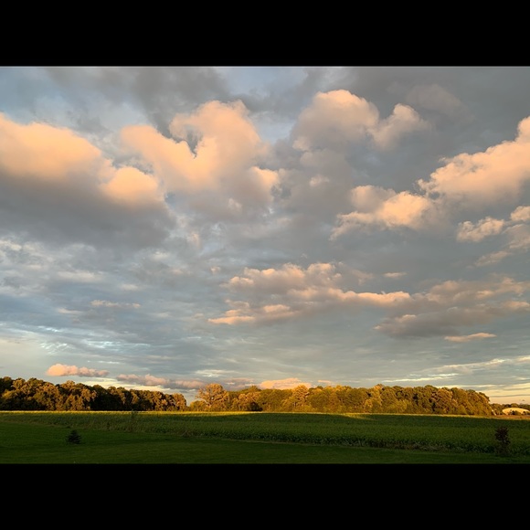 Profile Picture of Alex Zuckerman (@alexzuckerman) on Poshmark