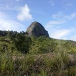 Profile Picture of Richard Mariano (@richard.mariano.1000) on Instagram