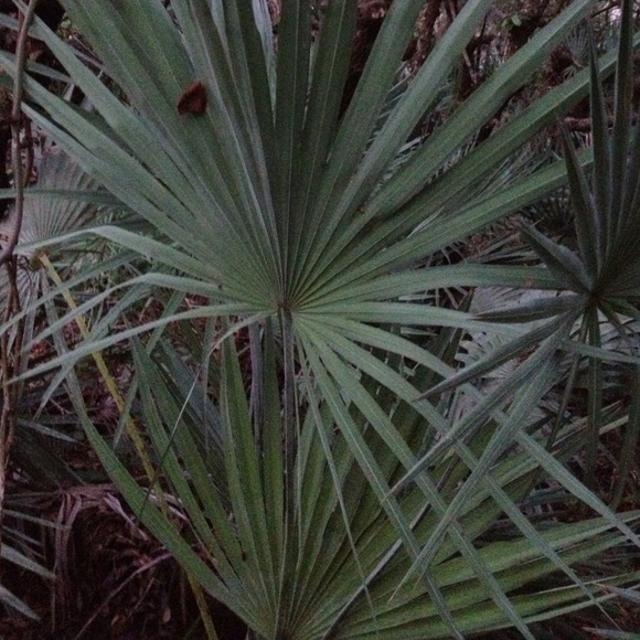 Profile Picture of Katarzyna Kozera (@ktkasia) on Poshmark