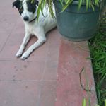 Profile Picture of cesar_rogelio_fittipaldi (@cesar_rogelio_fittipaldi) on Instagram