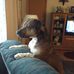 Profile Picture of Cindy Weldon (@cindy.weldon.7399) on Facebook