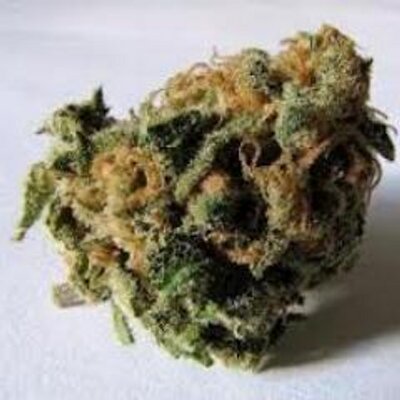 Profile Picture of Jacob Rosenthal (@JacobRosenthal5) on Twitter