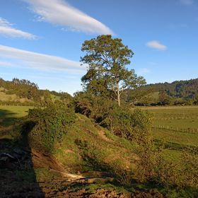 Profile Picture of Claudio Saez (@iclgsc) on Pinterest