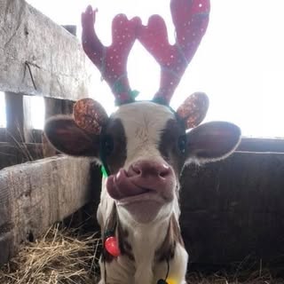 Jeff Mountjoy - Instagram Profile Picture of Jeff Mountjoy (@mountjoyjeff) on Instagram