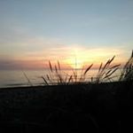Profile Picture of Michael Langkowski (@langkowskimichael) on Instagram