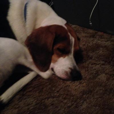 Profile Picture of Haley (@Haley07Hebert) on Twitter