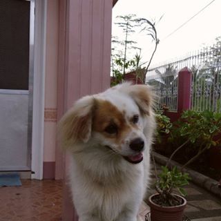 Profile Picture of Galvez Rhea (@galvez.rhea) on Facebook