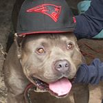 Profile Picture of Justin (@justin_malave) on Instagram