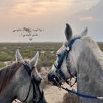Profile Picture of Adam Hanar (@adam.hanar.5) on Facebook