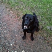 Profile Picture of Karl Sorrell (@karl-sorrell) on Quora