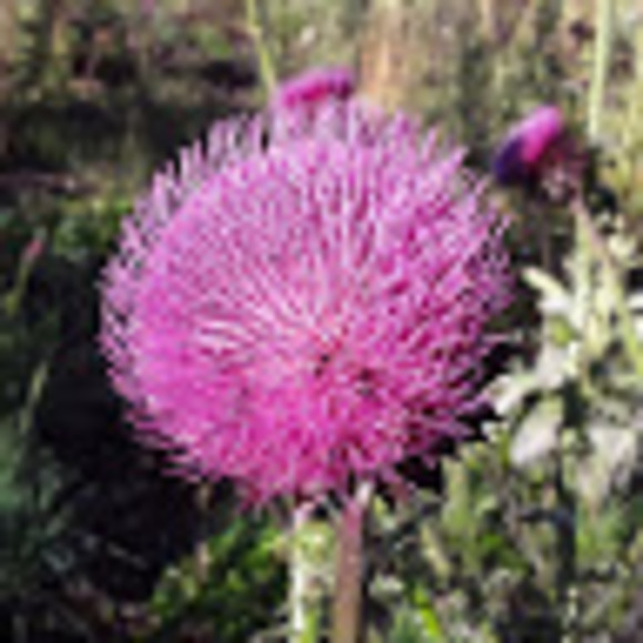 Profile Picture of John Windes (@johnwindes) on Poshmark