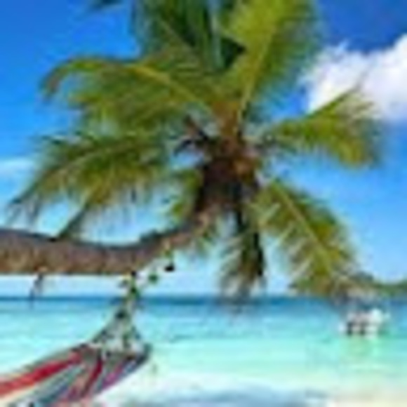 Profile Picture of Angel Ballantyne (@aaaangelggggirl) on Poshmark