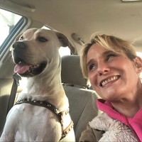 Profile Picture of Diane Foster (@diane-foster-35) on Quora