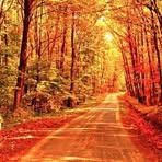 Profile Picture of Beltre Chris (@Beltre-Chris) on Facebook