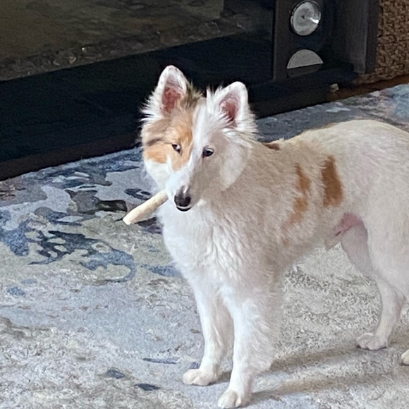 Profile Picture of Jody Summers (@shopper17408) on Poshmark