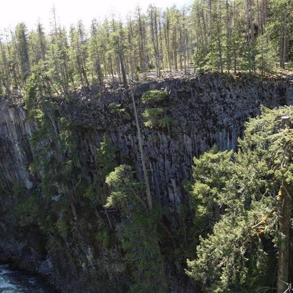 Richard Chohan - Poshmark Profile Picture of Richard Chohan (@richardchohan) on Poshmark