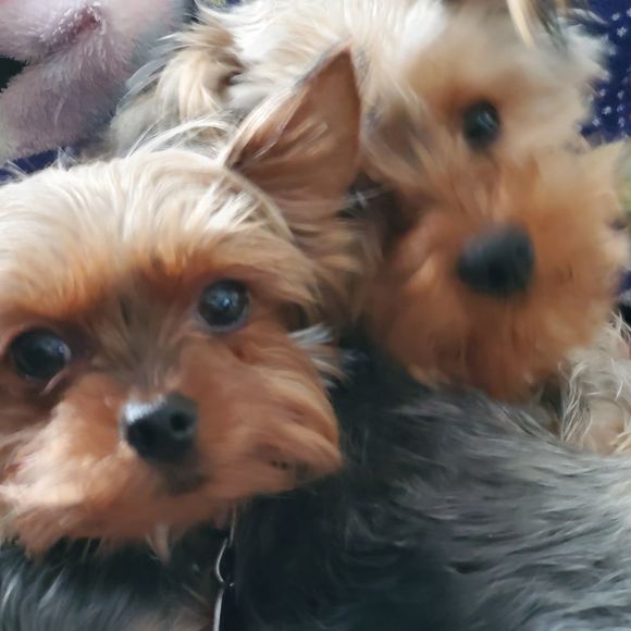 Profile Picture of Marcy Cochrane (@grannymac1957) on Poshmark