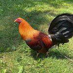 Profile Picture of Timothy Haney (@timothy_haney_) on Instagram