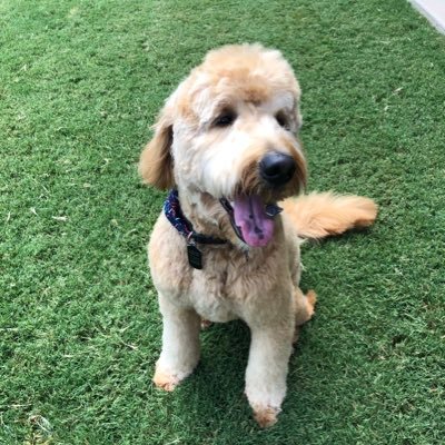 Profile Picture of Phillip Lowery (@PCLowery56) on Twitter