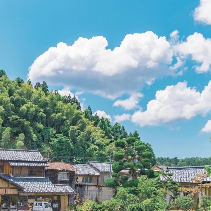 Profile Picture of Alvin fan (@alvin.fan7) on Tiktok