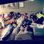 Profile Picture of Steven (@names_steven) on Instagram