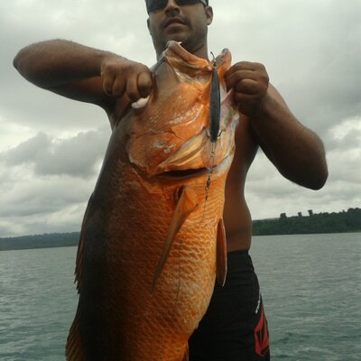 Profile Picture of Gino Testa (@gino507) on Twitter