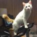 Profile Picture of Jared Tashjian (@jared.tashjian) on Facebook
