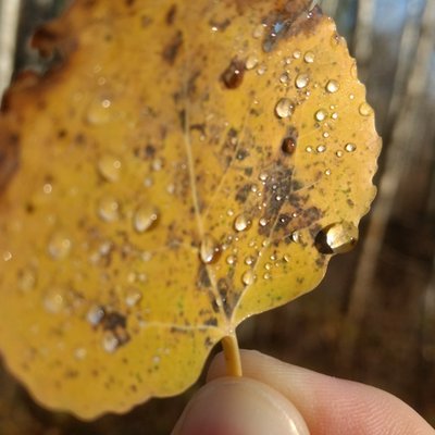 Profile Picture of Marcel Gauthier (@MarcelG38270726) on Twitter