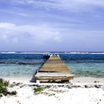 Profile Picture of Daniela Ryan (@part_time_pyrate) on Instagram