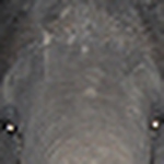 Profile Picture of Dave.Lovell (@Dave.Lovell) on Flickr