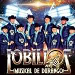 Profile Picture of lobillos musical de durango (@lobillos_musical_de_durango) on Instagram