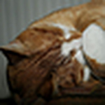 Heinz - Flickr Profile Picture of Heinz (@geocolor) on Flickr