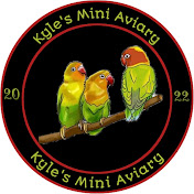 Profile Picture of Kyle Mini Aviary (@deathsize1125) on Youtube