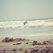 Profile Picture of Luke Hamman (@johnlhamman) on Pinterest