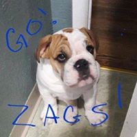 Profile Picture of Mark Bagby (@mark-bagby-1) on Quora