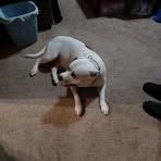 James Casteel - Facebook Profile Picture of James Casteel (@James-Casteel) on Facebook