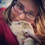 Profile Picture of Candace Wolfe (@lovestruckminiatures) on Instagram