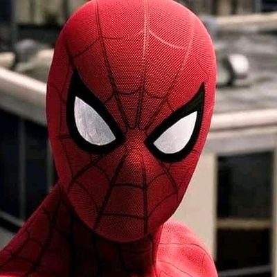 Profile Picture of André Gabriel Hernández Gaspar (@AndrGabrielHer1) on Twitter