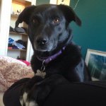 Profile Picture of Cleo Watson (@clezdawg) on Instagram