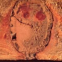 Profile Picture of David Marsolais (@davidm9937) on Pinterest