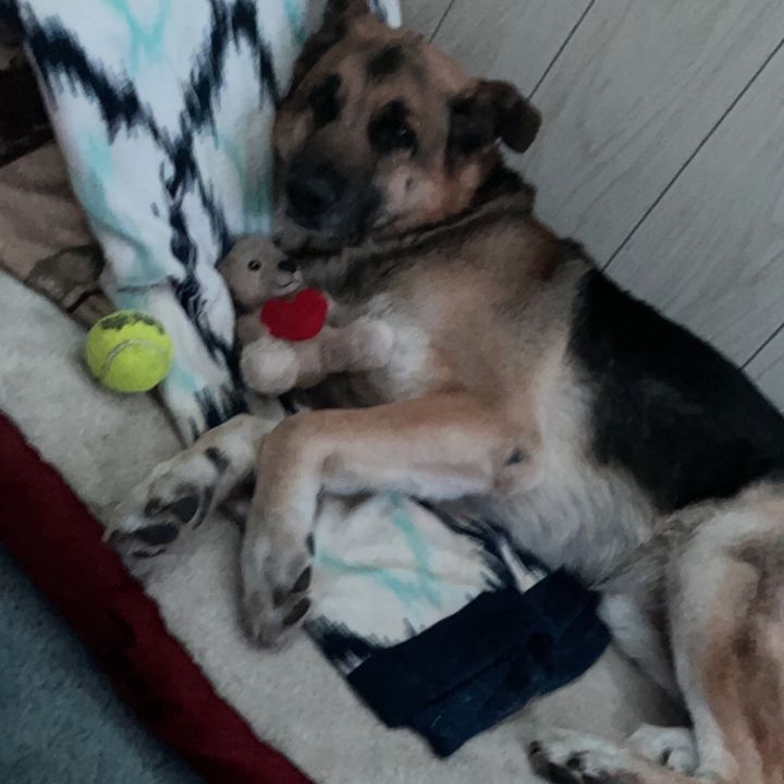 Profile Picture of Cierra (@cierragoral2801) on Tiktok