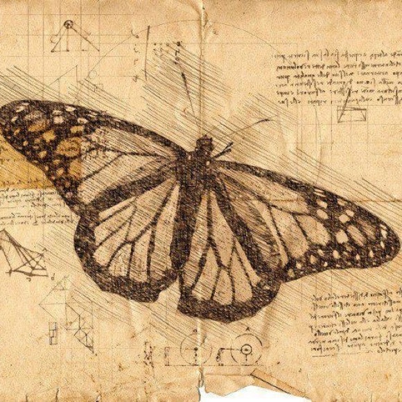 Profile Picture of Remington Elmberg (@relmberg) on Poshmark