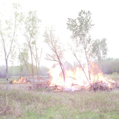 Profile Picture of Jay Brownlow (@mrjcvb2) on Twitter